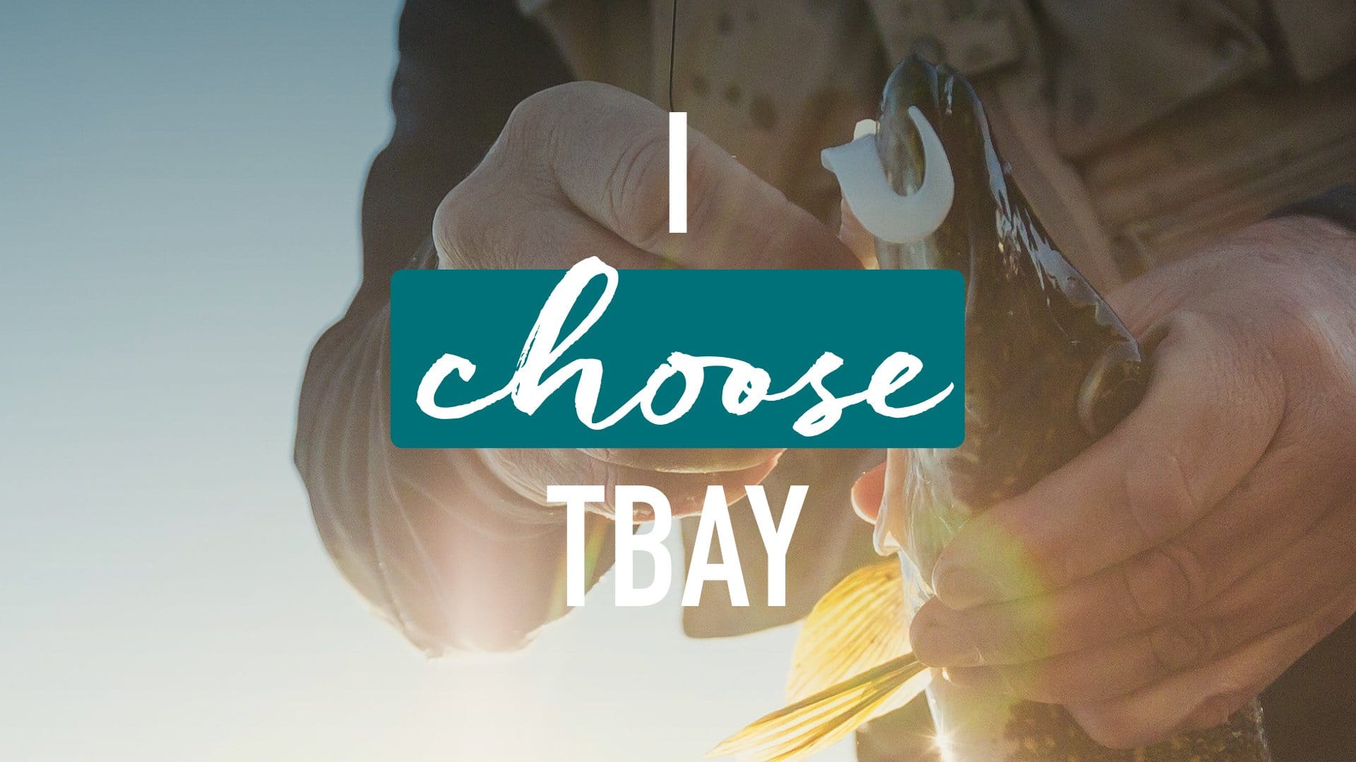 Generator Advertising Thunder Bay - I Choose Tbay 1